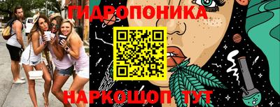 Альфа ПВП Новозыбков