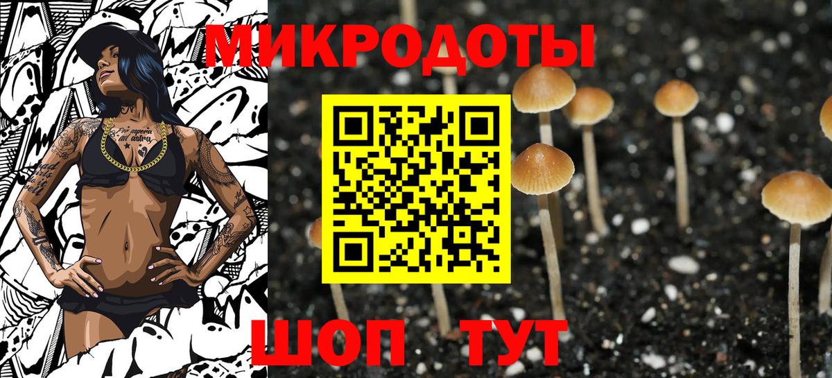 Галлюциногенные грибы мухоморы Сосновый Бор