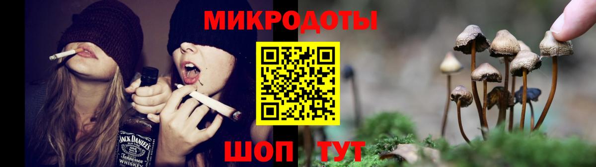 Псилоцибиновые грибы Cubensis  Псилоцибиновые грибы Cubensis  Сосновый Бор  Вход с VPN 